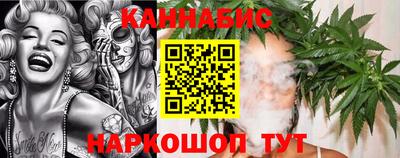 крисы Камень-на-Оби