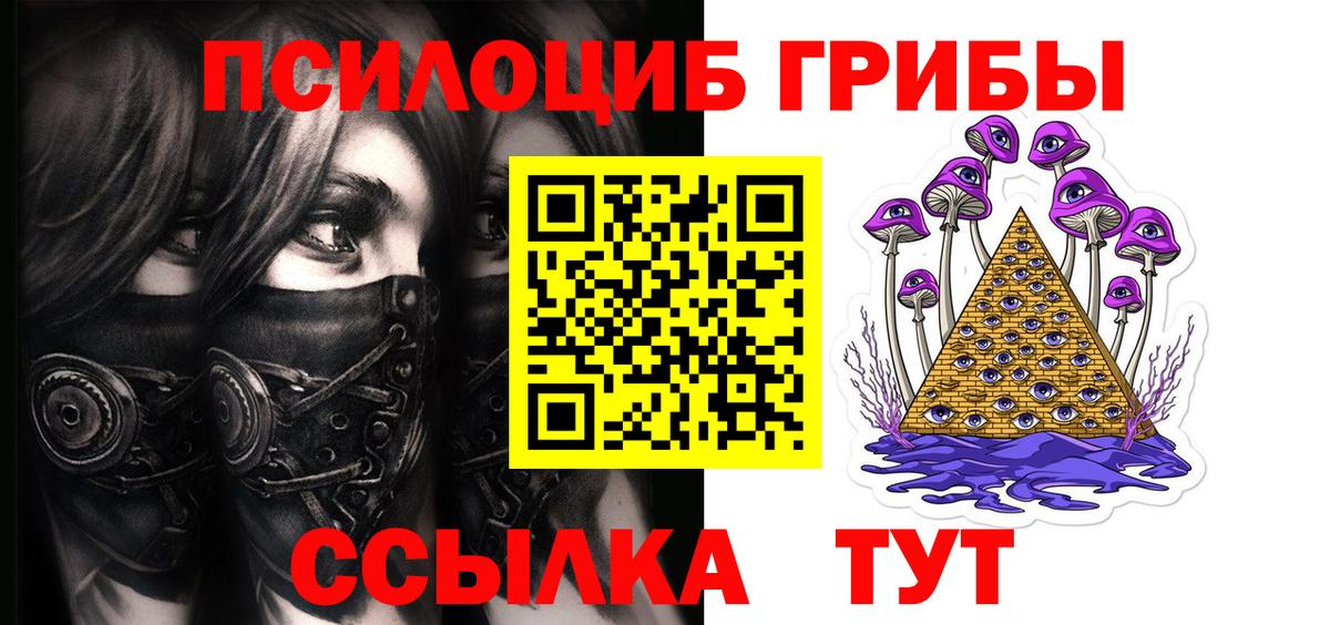 Галлюциногенные грибы Cubensis Зима