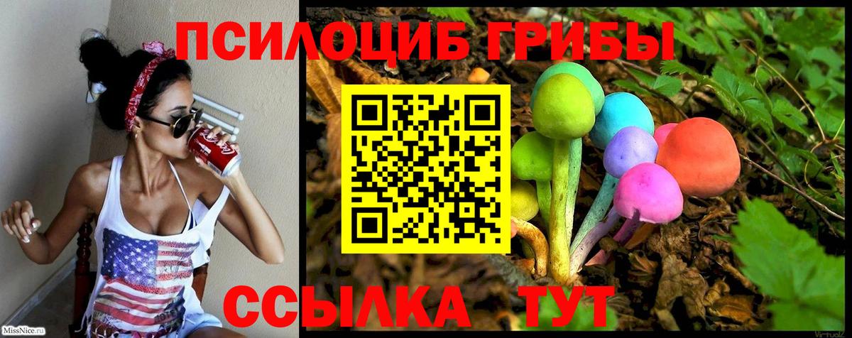 Зима  Псилоцибиновые грибы ЛСД  Вход с VPN 